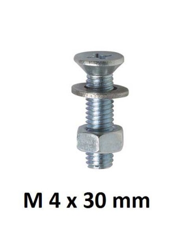 TORNILLO CABEZA PLANA PHILLIPS M4 x 30 mm 12UD