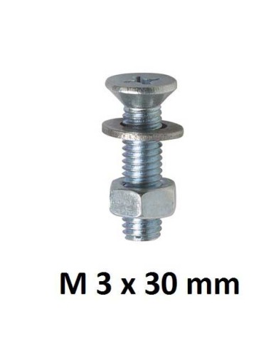 TORNILLO CABEZA PLANA PHILLIPS M3 x 30 mm 15UD