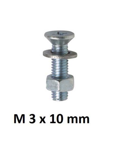 TORNILLO CABEZA PLANA PHILLIPS M3 x 10 mm 40UD