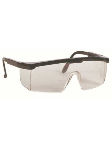 GAFAS PROTECCION 389 CLEAR