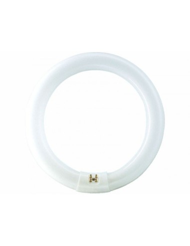 TUBO FLUORESCENTE CIRCULAR 32W