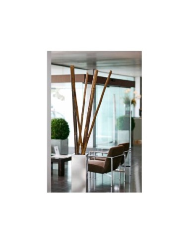 TUTOR BAMBU DECOR DIAM 70/80 240CM