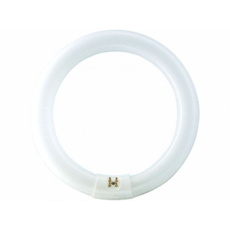 Tubo fluorescente circular 32w - Suinplas