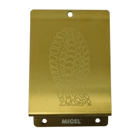 Placa pisa puerta dorado pulido 148x98mm - Suinplas