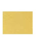 Bisagra doble accion vaiven  f3 oro - Suinplas