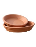 Plato terracota 22 cm      - Suinplas