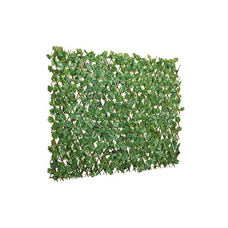 Celosia mimbre con hojas 2x1 - Suinplas