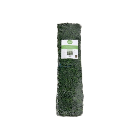 Celosia extensible  arce verde  1x1,50 - Suinplas