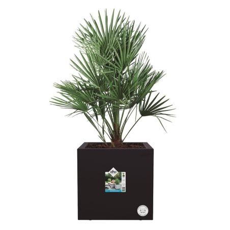 Maceta cubo de 40cm negro - Suinplas