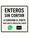 Tablero contrachapado antideslizante abedul 15 y 18 mm 