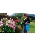 Pulverizador presion matabi berry 5/7 - Suinplas