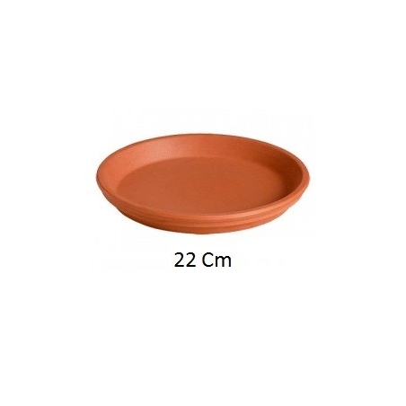 Plato terracota 22 cm      - Suinplas