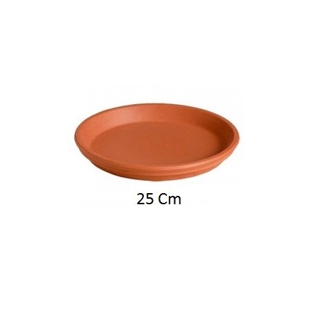 Plato terracota 22 cm      - Suinplas