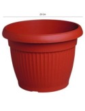 Maceta plastico terracota 25cm       - Suinplas