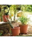 Maceta vaso cono 26 - Suinplas