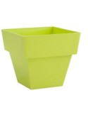 Maceta limited cuadra 18cm blanco - Suinplas