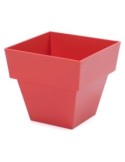 Maceta limited cuadra 18cm blanco - Suinplas
