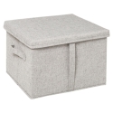 Caja almacenaje con tapa serie orga 31x31xh.25cm - Suinplas