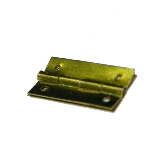 Bisagra estuche 20x15 mm  5ud - Suinplas