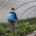 Pulverizador de mochila a bateria  15 l - Suinplas