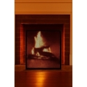 Salvachispas Chimenea 66,5x55 cm – ProtecFlama Seguro