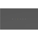 Campana balay pared inclinada 90 cm 840 m3/h cristal gris...