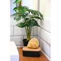 Joyero bambu espejo negro - Suinplas