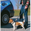 Correa perro para coche - Suinplas