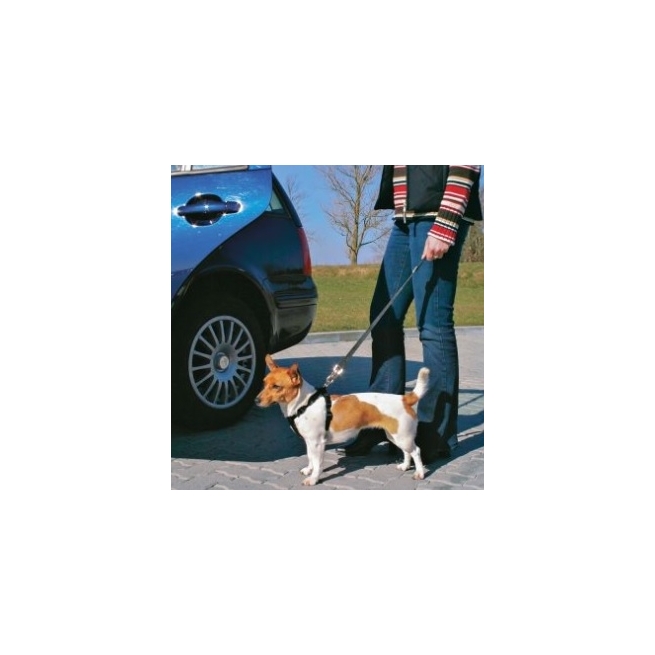 Correa perro para coche - Suinplas