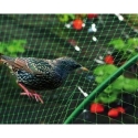 Malla antipajaros 2x10m verde - Suinplas