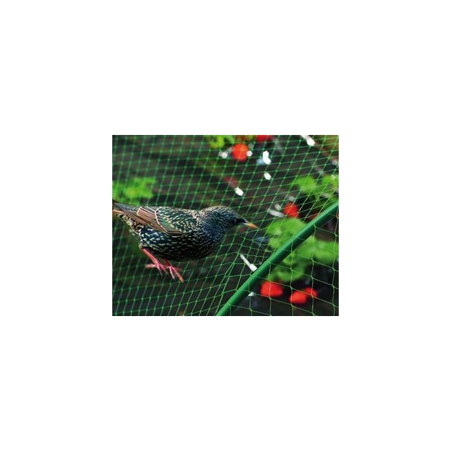 Malla antipajaros 2x10m verde - Suinplas