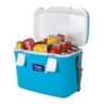 Nevera rigida 25 l  47,5x28x35,9cm - Suinplas