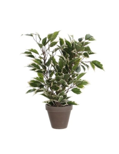 PLANTA ARTIFICIAL FICUS NATASIA 11,5CM