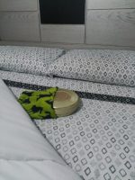Calienta camas: Consejos antes de comprar