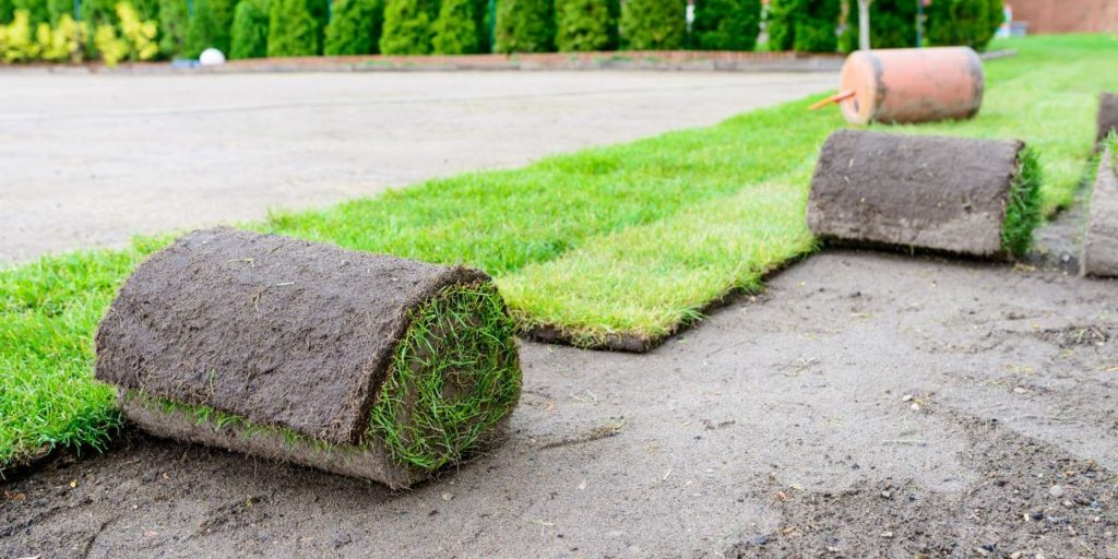 El Arte de Plantar Césped por tu Cuenta