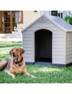 Proteger a Tu Mascota en Verano